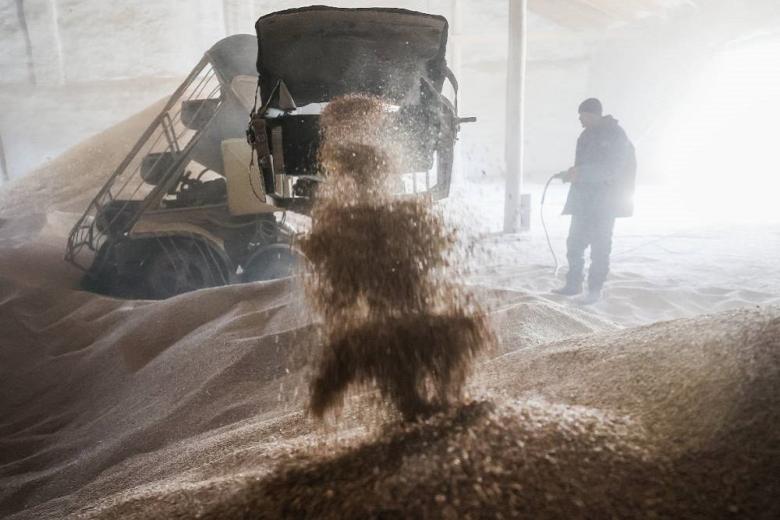 18 июня в интервенционный фонд РФ закупили более 2,5 тыс тонн зерна